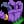 Gloves of Plague