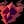 Infernal Shield